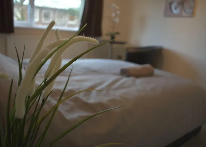 And A * بريستول