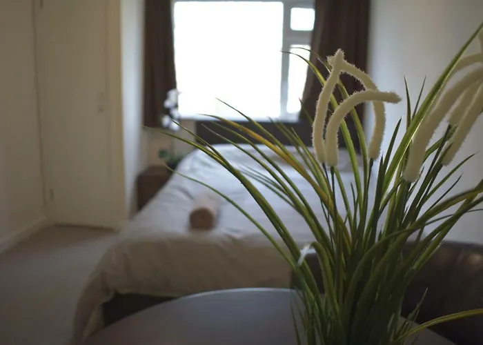 بيت ضيافة And A *